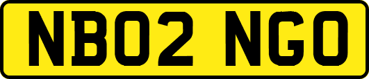 NB02NGO