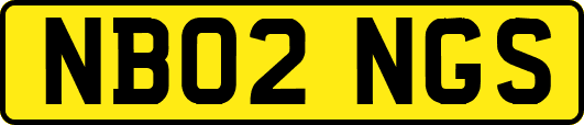 NB02NGS