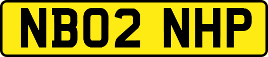 NB02NHP