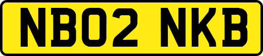 NB02NKB