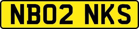 NB02NKS