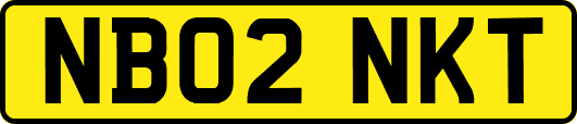 NB02NKT
