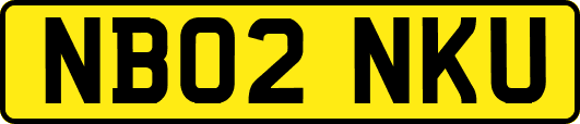 NB02NKU