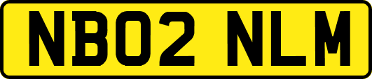 NB02NLM