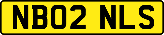 NB02NLS