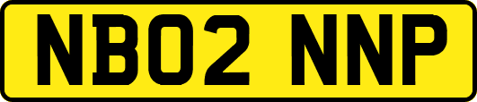 NB02NNP