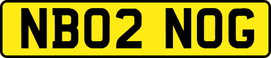 NB02NOG