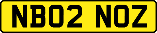 NB02NOZ