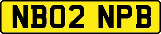 NB02NPB