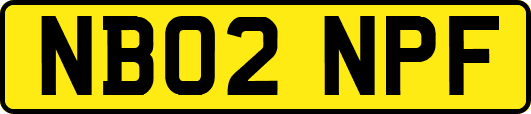NB02NPF