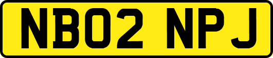 NB02NPJ
