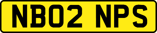 NB02NPS