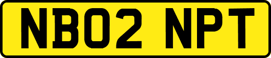 NB02NPT