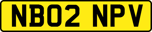 NB02NPV