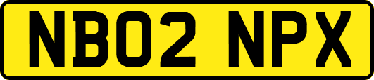 NB02NPX