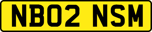 NB02NSM