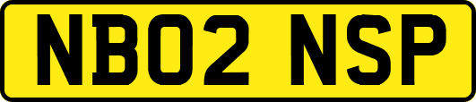 NB02NSP