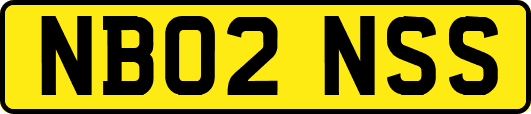 NB02NSS