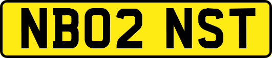 NB02NST