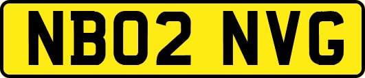 NB02NVG