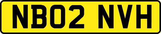 NB02NVH