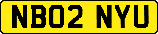 NB02NYU