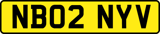 NB02NYV