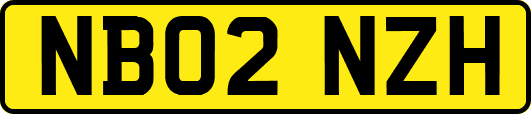 NB02NZH