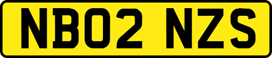 NB02NZS