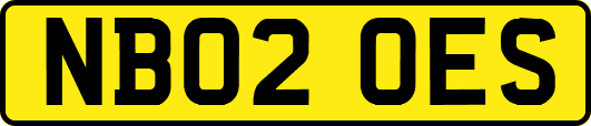 NB02OES