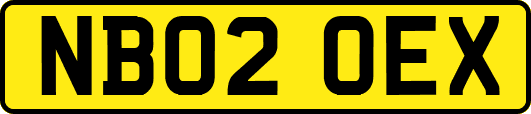 NB02OEX