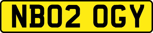 NB02OGY