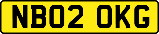 NB02OKG