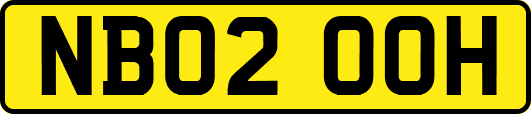 NB02OOH