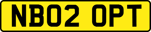 NB02OPT