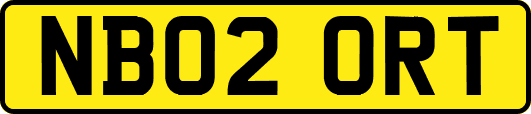 NB02ORT