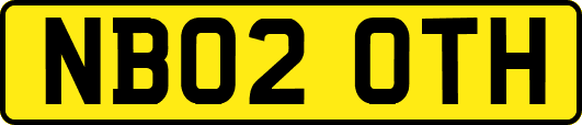 NB02OTH