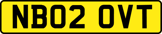 NB02OVT
