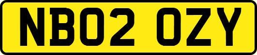 NB02OZY