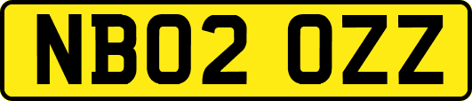NB02OZZ