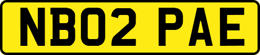 NB02PAE