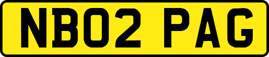 NB02PAG