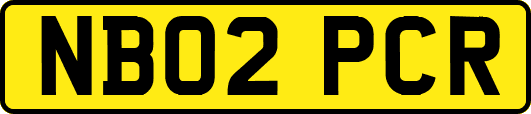 NB02PCR