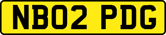 NB02PDG