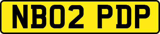 NB02PDP