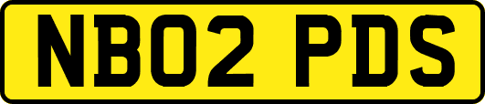 NB02PDS