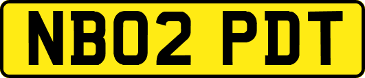 NB02PDT