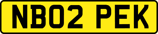 NB02PEK
