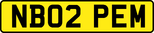 NB02PEM