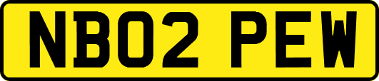NB02PEW